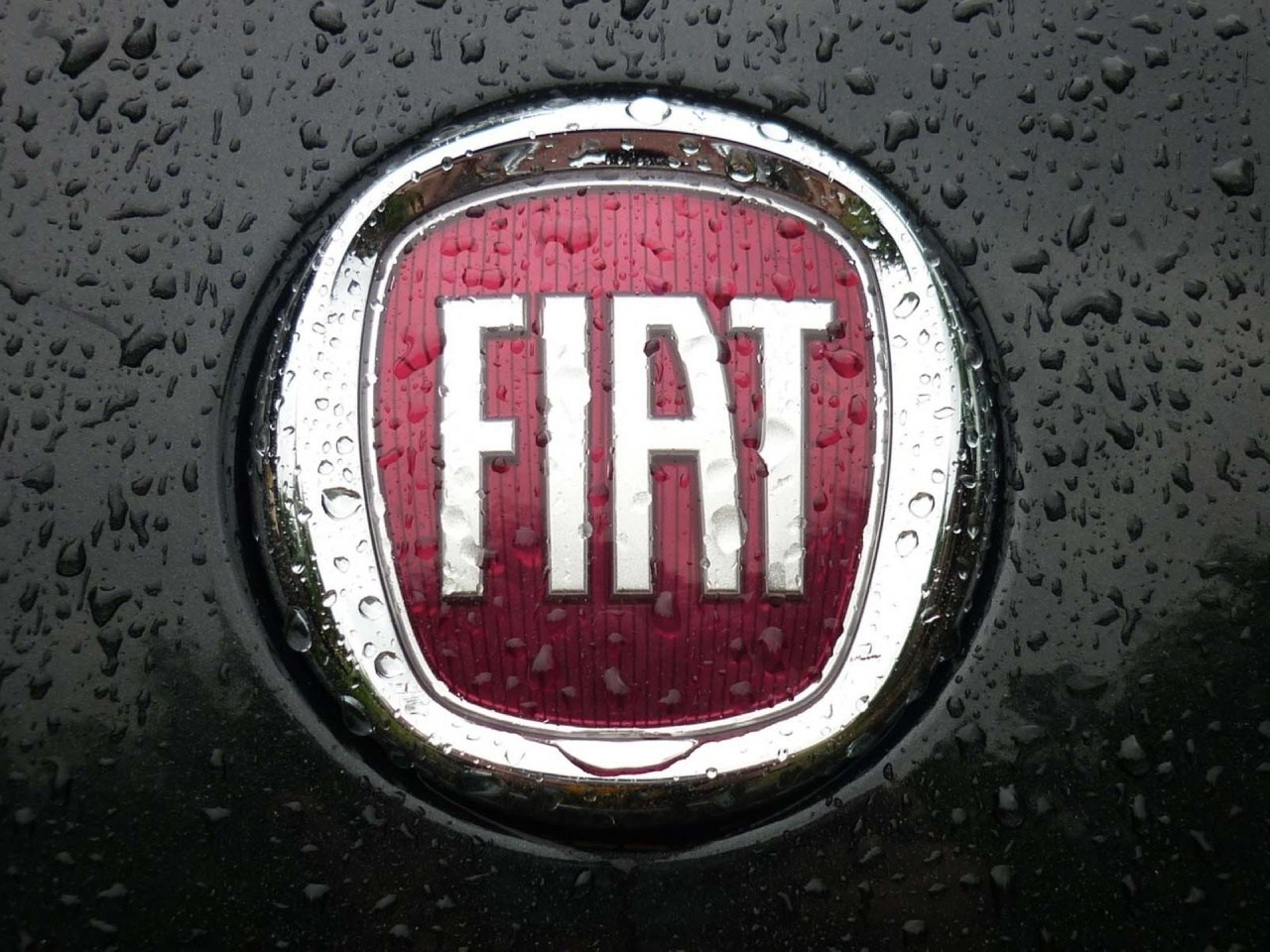 Fiat-emblem-3.jpg