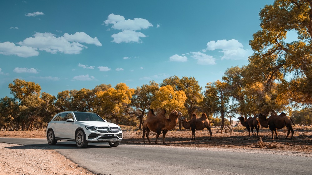 11-新一代GLC 300 L 4MATIC AMG-Line装备越野技术组件.jpg